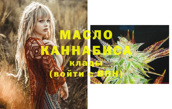 индика Краснотурьинск