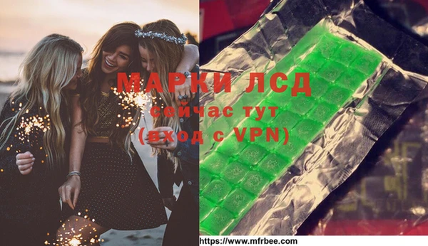ПСИЛОЦИБИНОВЫЕ ГРИБЫ Вязьма