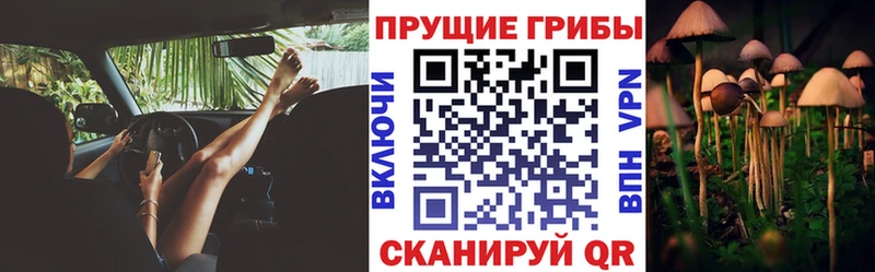 Псилоцибиновые грибы ЛСД mega как зайти Звенигород наркошоп