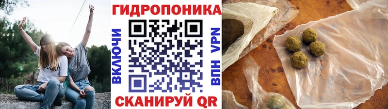 Бошки марихуана план Звенигород